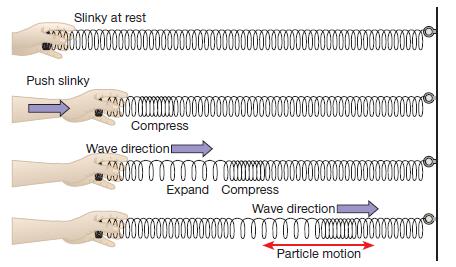 BODY WAVES: P WAVES Two main types of body waves travel through the Earth s interior.