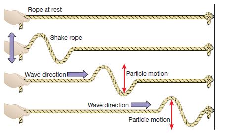 BODY WAVES: S WAVES A second type of body wave, called an S wave, is a shear wave.