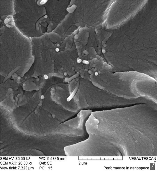 Shokrieh et al. Journal Of Nanostructure in Chemistry 2013, 3:20 Page 4 of 5 Figure 6 SEM micrograph of fracture surface of a sample containing 0.05 wt.% MWCNT.
