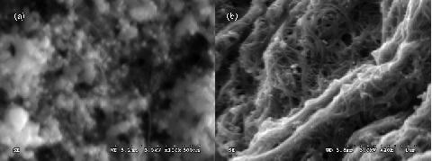 Figure 1: SEM images for (a) raw and (b) purified arc-discharge SWNT samples. 2.2 Room Temperature XRD The raw SWNT sample profile (Figure 2a) shows the (10) peak (~ 5.