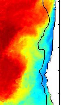 processes affects the frontal structure Ave SST, Aug,