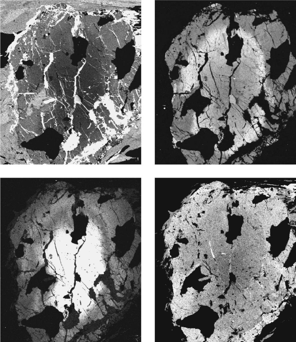 A thin - section scale original inhomogeneity of bulk rock chemistry inferred 137 Figure 3. X - ray intensity maps of Mg, Ca, Mn, and Fe of a representative garnet grain (L8) of type A.