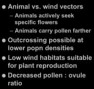 wind vectors Animals actively seek