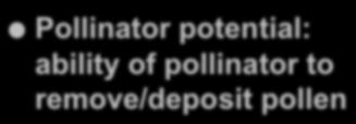 remove/deposit pollen 8 Role
