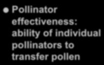 Pollinator effectiveness: