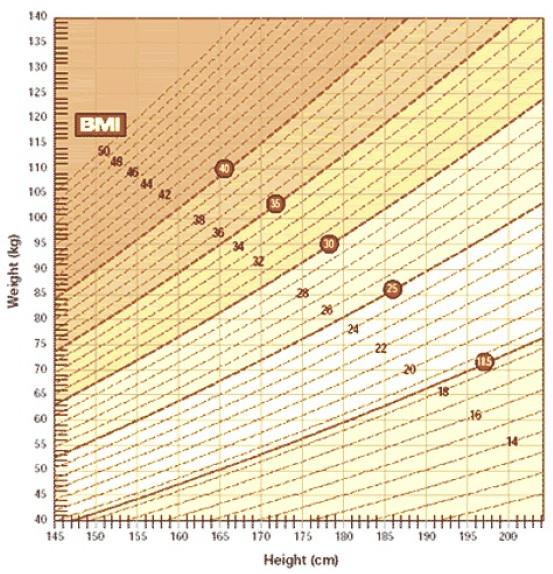 10. The figure shows a contour diagram of an adult human Body Mass Index (BMI) (in bmi units) as a function of height, h in cm, and weight, w in kg.