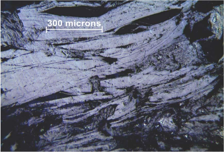 Yalbra - Preliminary Metallurgy Size Size Assays Distribution Microns (µm) Tyler Mesh C (t) C (t) +297 µm +48 mesh 91.8% 6.6% +149 µm +100 mesh 90.6% 22.8% +74 µm +200 mesh 90.0% 31.