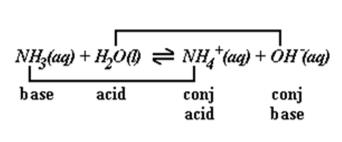 CONJUGATE ACIDS and BASES Conjugate: Substance after H + had been donated