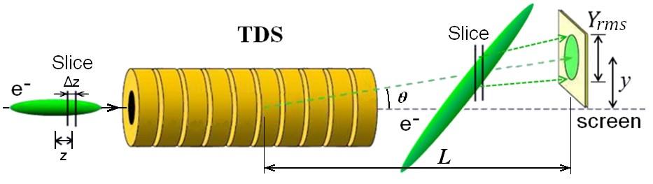 TDS basic principle The structure deflects the electrons of the bunch vertically in linear dependence on their longitudinal coordinates within the bunch.
