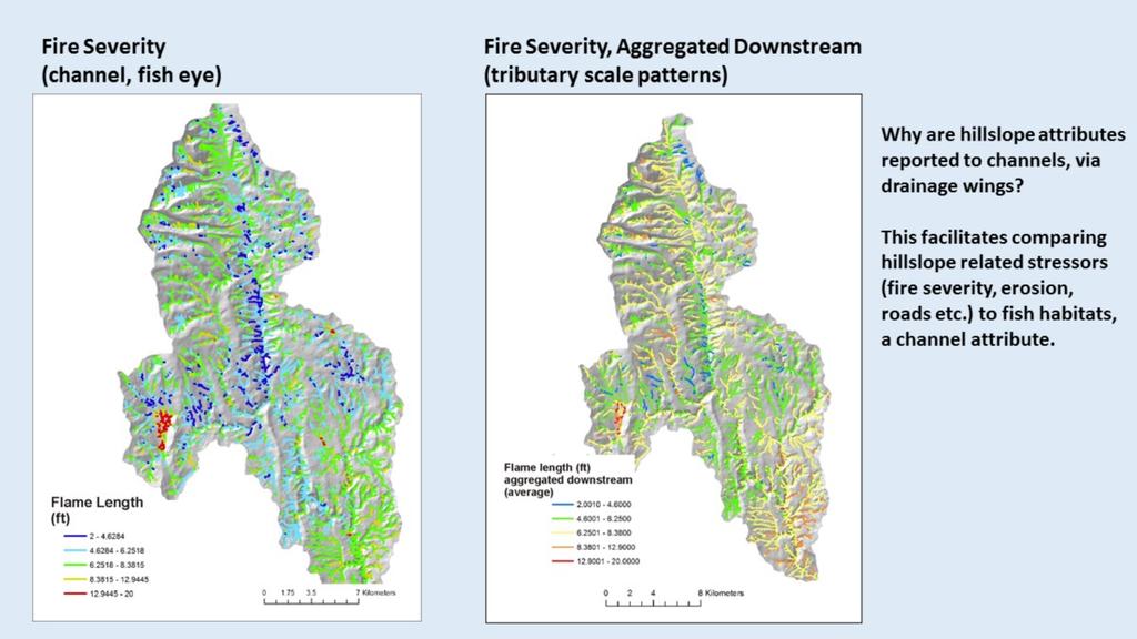 Fire severity is reported to individual channel segments