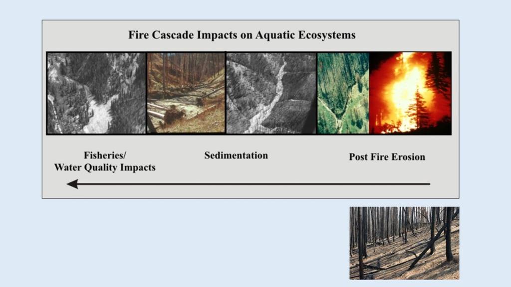 Post fire erosion and channel sedimentation are predicted