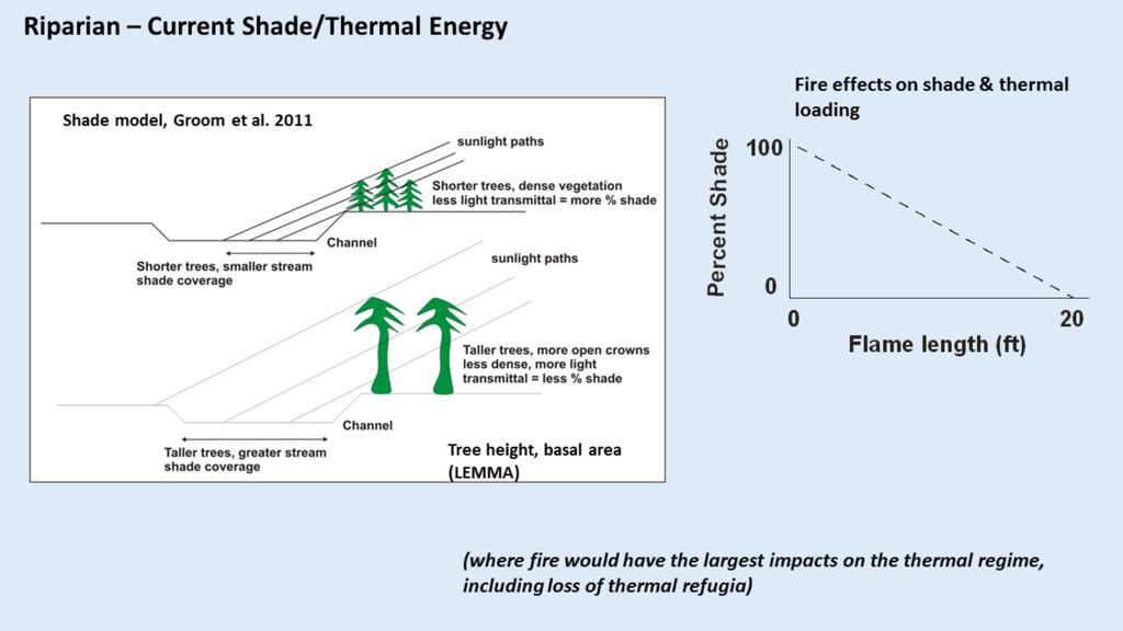 A shade model was used to estimate the effects of vegetation on reducing thermal energy to streams. Shorter, denser vegetation provides more shade, but the shadow length is smaller.