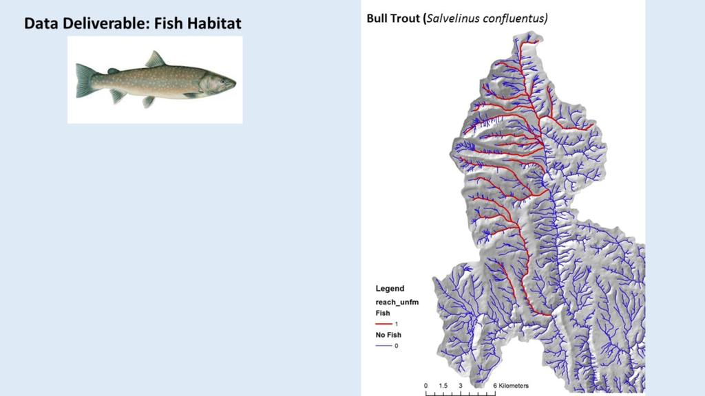 US Forest Service data on distribution of Bull Trout and Redband Trout were used in the analysis.