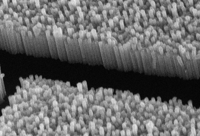 One-Dimensional Nanostructures (a) (b 1 ) (b 2 ) UTAM-prepared free-standing one-dimensional surface nanostructures