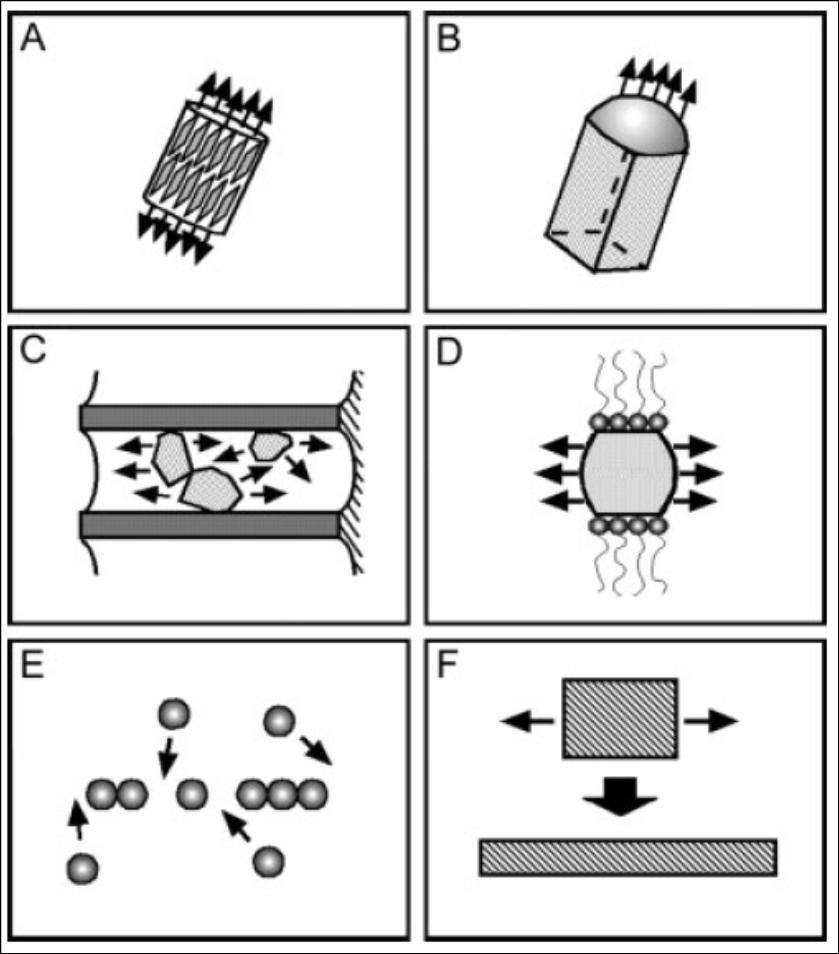 Six different strategies for achieving 1D growth: 1. Anisotropic growth dictated by crystalline nature of a structure; 2. Use a liquid-solid interface to reduce symmetry of a seed; 3.