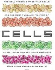 Cells are the basic units of structure and