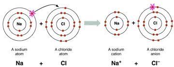 Formation of Ionic Compounds Binary ionic compounds: Contain two elements (metal and a nonmetal) Form when atoms of the metal element lose one or more electrons