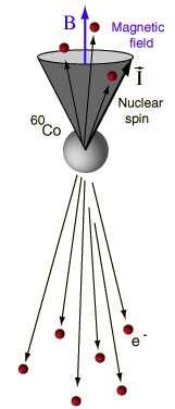 Give some reference direction in space, add some magnetic field to align the spin of the cooled cobalt nuclei.