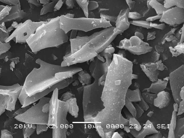 g SEM photograph of EAC ( X ) Fig.