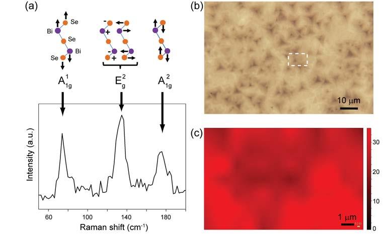 Figure S7. (a) Raman spectrum of a Bi 2 Se 3 nanosheet grown on mica using green (514 nm) laser excitation.
