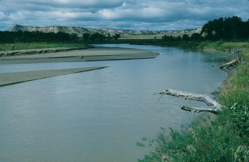 2 September 1993. View downriver of new sand on point bar on left bank. J.
