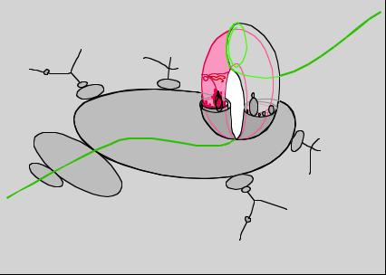 We define the parabolic blowup of C at c 0 to be the closure in V Isom (C +, C ) Thus in the picture the pink croissant is Isom (C +,C ) of all pairs (c, L c ).