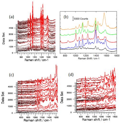 Figure S13. (a) 4624 SERS spectra of 4-ABT monolayer adsorbed on AgNPs/SiNWs array. (b) Five SERS spectra extracted from (a).