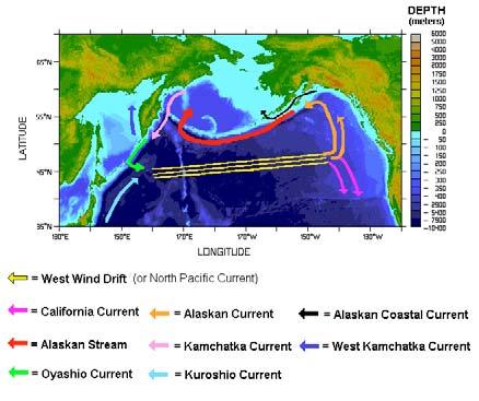 I. INTORDUCTION A. California Current System The California current is the eastern boundary current that lies to the west of North America.