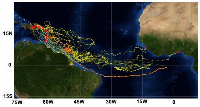 NBCR: North Brazil Current Retroflection, NECC: North Equatorial Counter Current, SEC: South Equatorial Current, GC: Guiana Current.