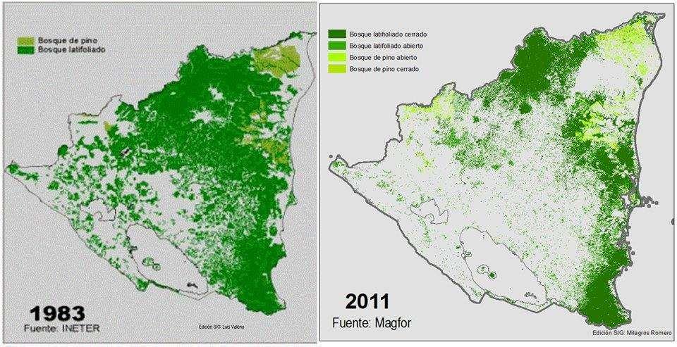Around 75 percent of Nicaragua s forests