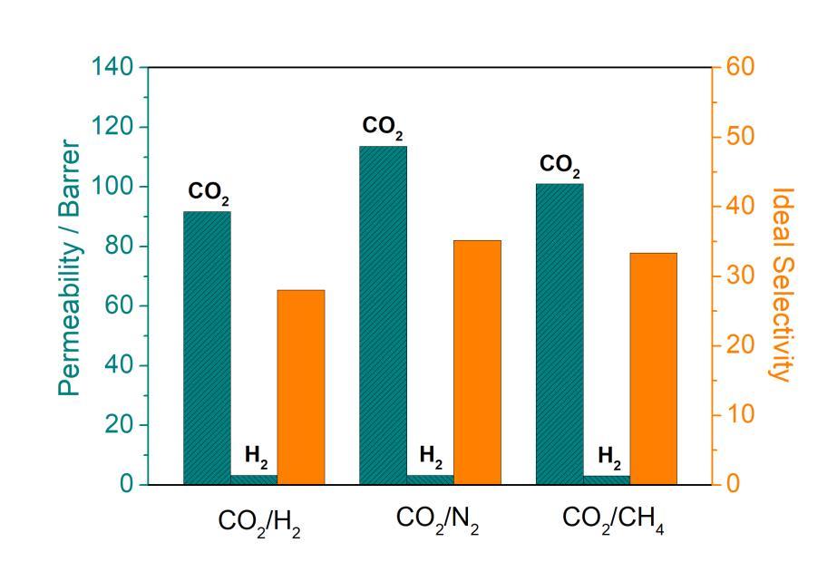 Figure S6 The binary gas mixture (CO 2 /H 2, CO 2 /N 2 and CO 2 /CH 4 )