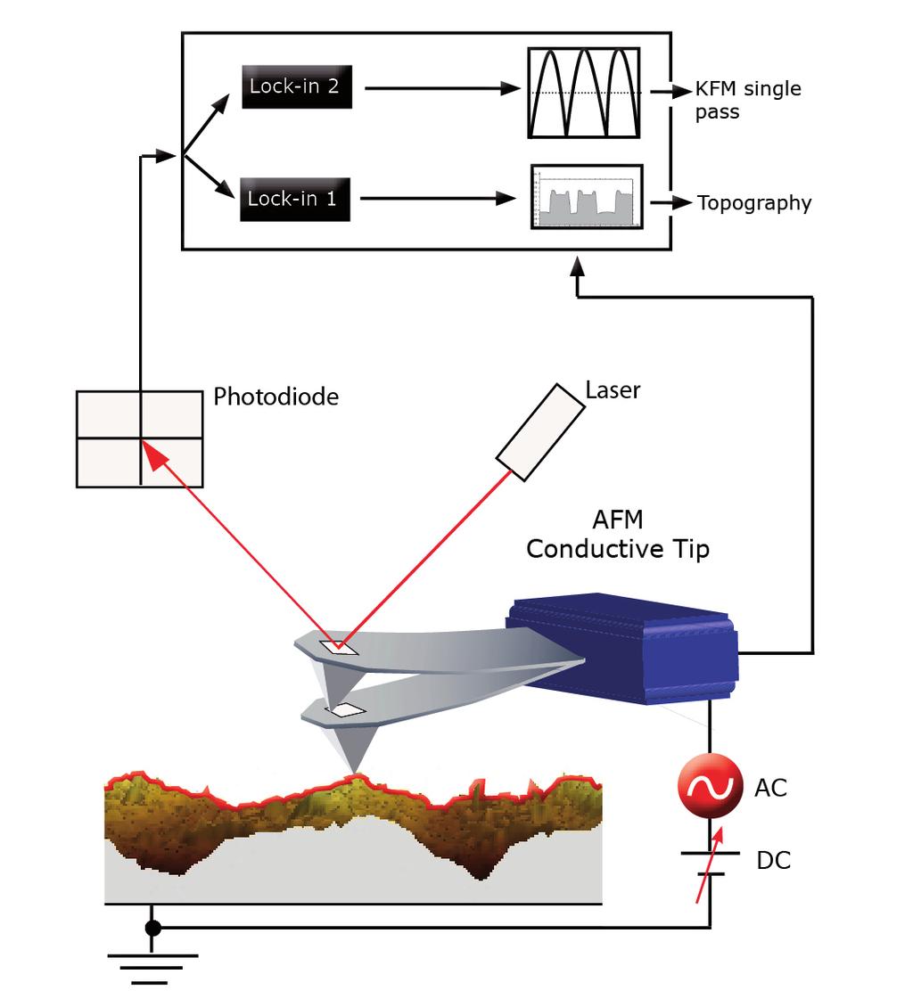 In Figure2 it is shown how KFM is operated with the lift mode technique : Topography signal Topography signal + + + + + + _ KFM signal (KFM servo) Lift Height AFM Conductive Tip AFM Conductive Tip V