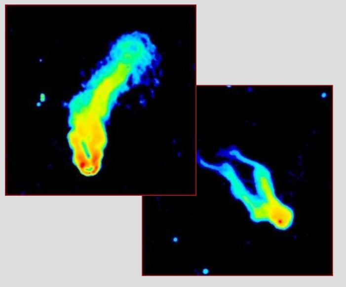 Different type of Radio Galaxies Interaction