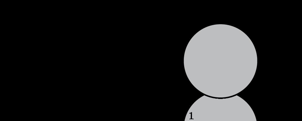 1 Introduction 6 Figure 1.1: The two symmetry groups in the problem of a cylinder interacting with N point vortices are the particle relabelling group Diff vol (F 0) and the Euclidian group SE(2).