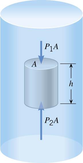 10.4 Archimedes Principle Buoyant Force F B = F 2 + ( F 1 ) F 1 F 2 = P 2 A P 1 A = ( P 2 P ) 1 A = ρ