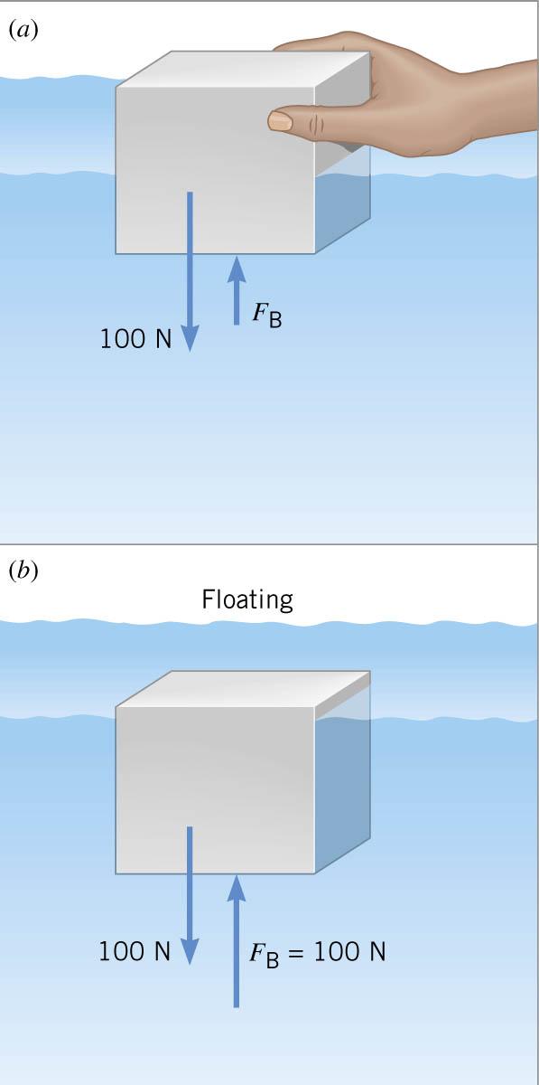 10.4 Archimedes Principle ARCHIMEDES PRINCIPLE Any fluid applies a buoyant force to an object that is partially or completely immersed in it; the magnitude of the buoyant