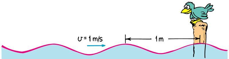 Are you on the right wavelength? If the wave below has a velocity of 6 m/s, answer the following: What is the wavelength?