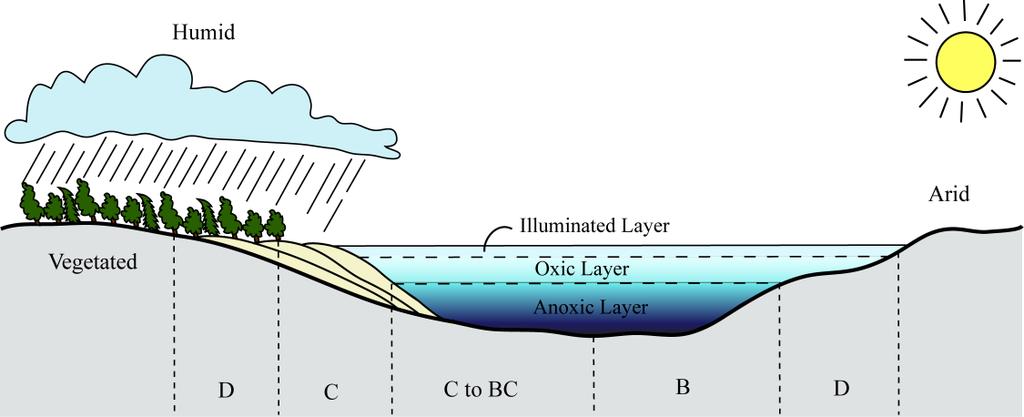Figure 1: Profile relating organic facies types to a sedimentary depositional environment and associated environmental conditions (i.e. climate, oxygen levels).