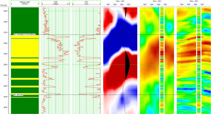 While incorporating the vertical variability information from the wells, the results always honor the input seismic data within a specified variance.