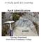 A Study Guide for Learning. Rock Identification. Geology Department Green River Community College