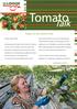 Tomato. Talk. Burgerveen, the Month of July. Czytaj więcej na stronie 2. By: Jarek, Lukasz & Mike