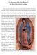 New Discoveries of the Constellations on the Tilma of Our Lady of Guadalupe