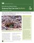 Don t Bust the Biological Soil Crust: Preserving and Restoring an Important Desert Resource