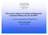 Macro-micro Impacts of scaling up Employment Guarantee Policies: the case of EPWP