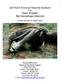 AZA North American Regional Studbook For Giant Anteater Myrmecophaga tridactyla