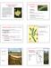 WETLAND & AQUATIC PLANTS Structure & Functions