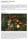 Mycological Notes 1 - Frost-Flat Fungi