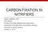 CARBON FIXATION IN NITRIFIERS