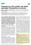 Emergence of the sudden oak death pathogen Phytophthora ramorum