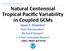 Natural Centennial Tropical Pacific Variability in Coupled GCMs